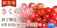 さくらんぼ