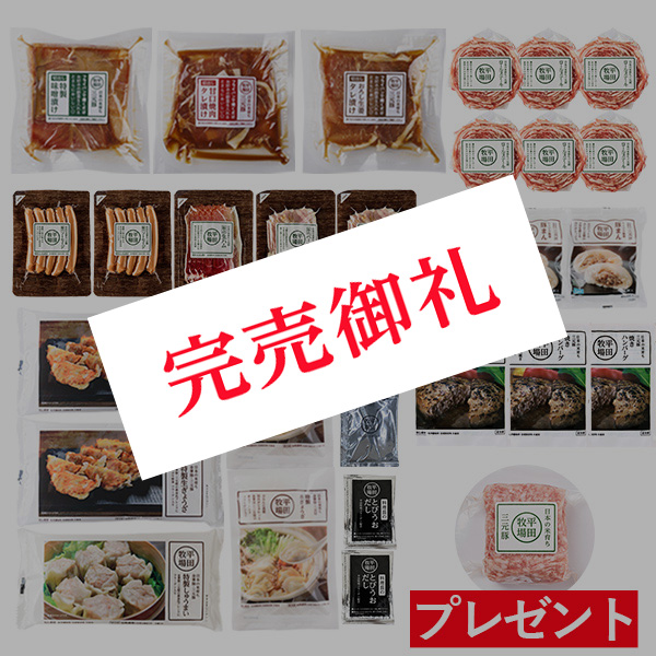 【通販店限定・送料無料】2026 人気商品まるごと福箱（14種29P！） [冷凍便]