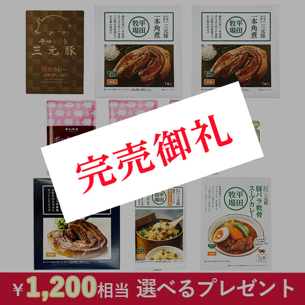 【通販店限定・送料無料】人気の常温ストック福箱（計10パック） [常温便]