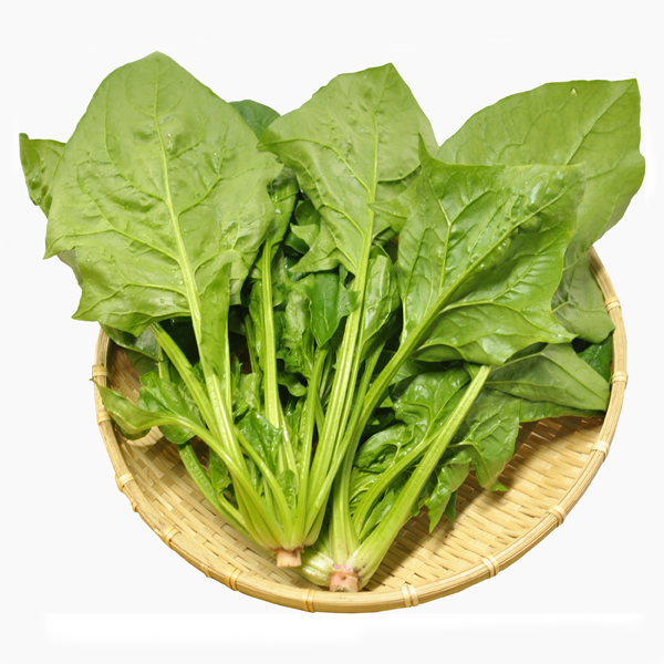 【木曜発送限定】金華豚しゃぶしゃぶ用切落しと“御立葉ほうれん草” セット [冷蔵便]