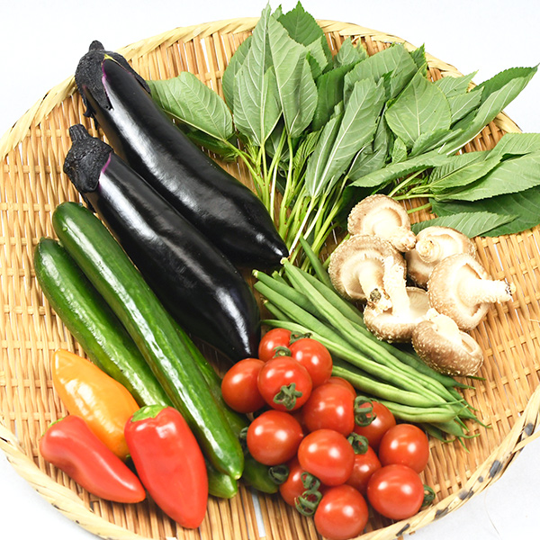 【木曜発送限定】山形県庄内産・おまかせ野菜5種セット [冷蔵便]