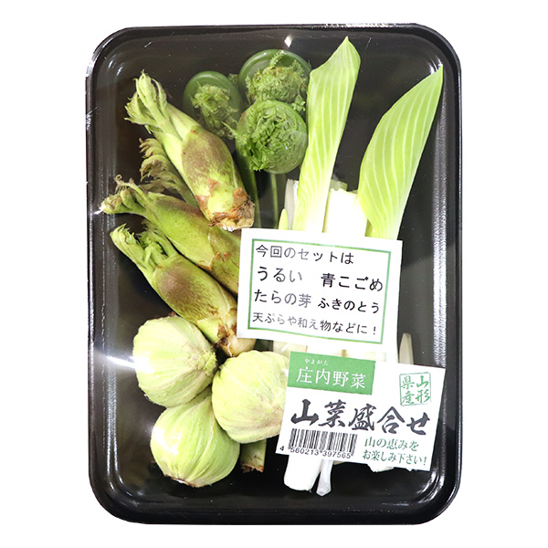 【木曜発送限定】山形県庄内産・山菜盛り合わせ（おまかせ4種入り）