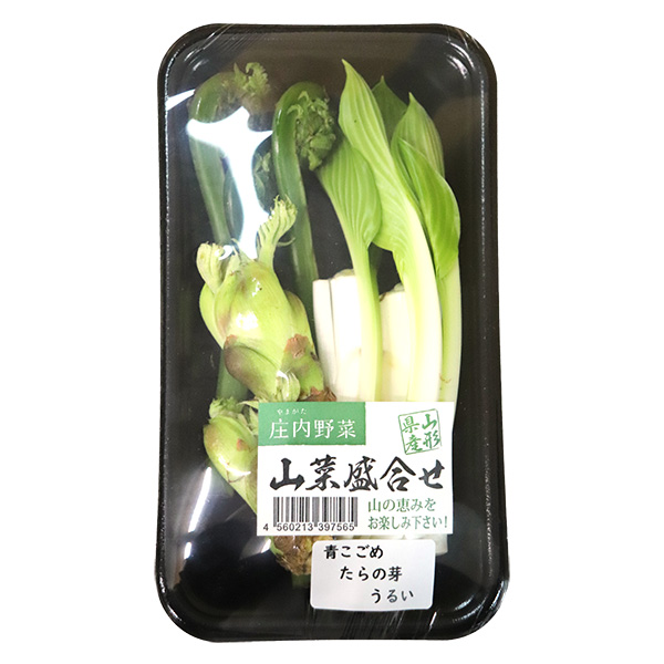 【木曜発送限定】山形県庄内産・山菜盛り合わせ（おまかせ3種入り）