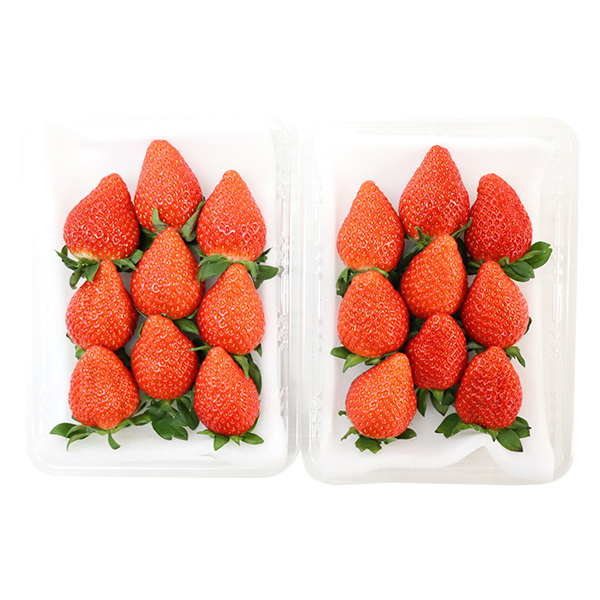 【お届け日指定不可】山形県酒田市産いちご「やよい姫」180g×２パック [冷蔵便]