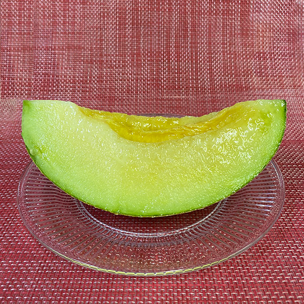 【お届け日のご指定不可】山形県庄内産「庄内砂丘メロン」2玉