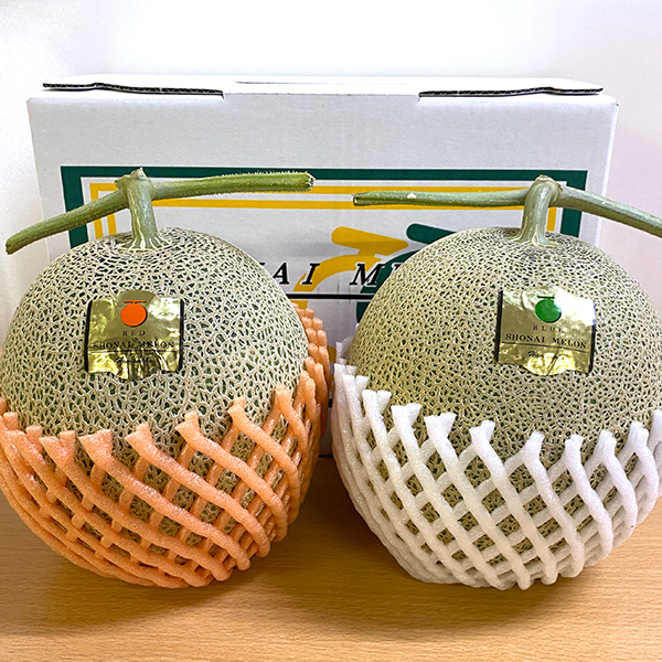 【お届け日のご指定不可】山形県庄内産「庄内砂丘メロン」2玉
