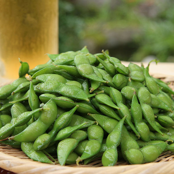 【木曜発送限定】山形を代表する夏の味覚「だだちゃ豆」 [冷蔵便]