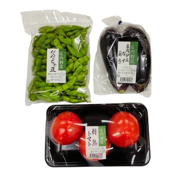 【木曜発送限定】山形県庄内産・夏の野菜おまかせ３種セット [冷蔵便]