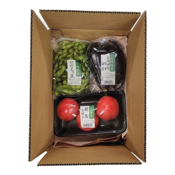 【木曜発送限定】山形県庄内産・夏の野菜おまかせ３種セット [冷蔵便]