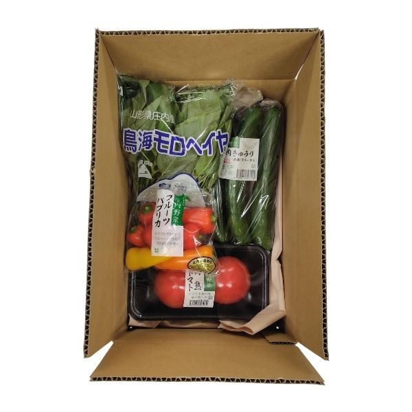 【木曜発送限定】山形県庄内産・サラダ野菜４種セット [冷蔵便]