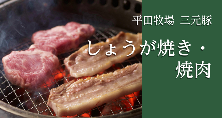 楽天市場】【公式】フンドーダイ 楽チン亭 生姜焼の素 60g【電子
