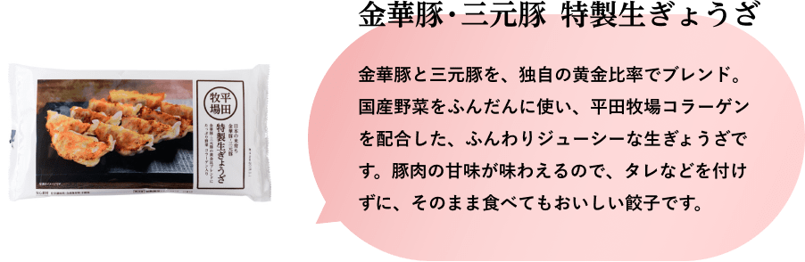 金華豚・三元豚 特製生ぎょうざ